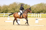 SBM_007931