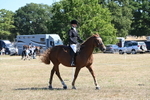 WJ6_8330