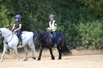 WJ6_9117
