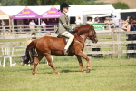 SBM_07674