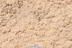 230813A-111630-11961