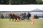 SBM_15341
