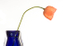 POPPY AND BLUE VASE