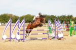 SBM_003287
