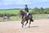 BPP_2979