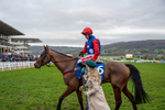 240126-Race 7-Ma Shantou-4642