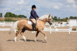 SBM_04016