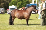 SBM_01835