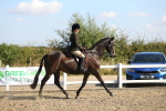 SBM_02198