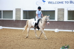 SBM_008831