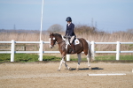 SBM_002029