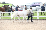 SBM_18905