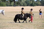 WJ6_7393