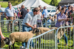 Loweswater Show-30