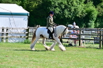 SBM_19438