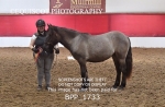 BPP_1733