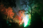Westonbirt _WB038