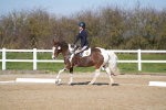 SBM_002051
