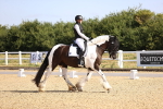 SBM_008629