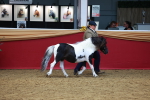 SBM_04204