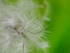 P90600070013