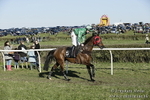 PtP 250317 416