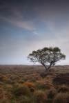 White Edge Moor, Peak District