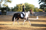 SBM_14579
