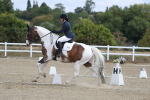 SBM_021063