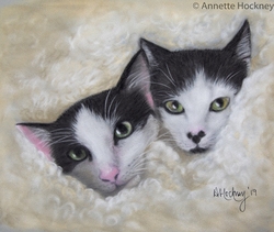 Animal and People Portraits portfolio