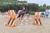 BPP_3029