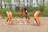 BPP_3175