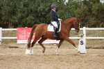 SBM_011994