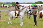 SBM_08331