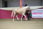 SBM_00243