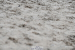 260829A-120156-28113