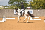 SBM_05588
