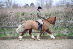 SBM_006047