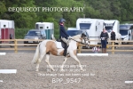 BPP_9547