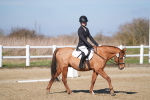 SBM_001980