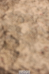 240629A-091002-02878