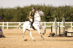 Class 12 - 1.00m Championship portfolio