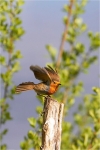 Take Off