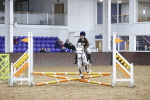 SBM_003875