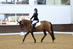 SBM_000731