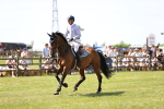 SBM_07311
