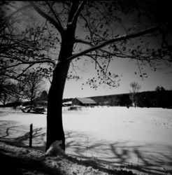 Pinhole Photography portfolio