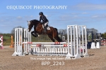 BPP_2243