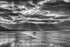 DSCF6810