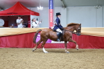SBM_23534